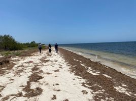  Land for sale in Yobain, Yucatan, Yobain