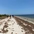  Land for sale in Yobain, Yucatan, Yobain
