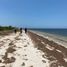  Land for sale in Yobain, Yucatan, Yobain