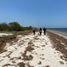  Land for sale in Yobain, Yucatan, Yobain