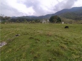  Terreno (Parcela) en venta en El Cerrito, Valle Del Cauca, El Cerrito