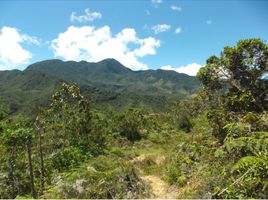  Terreno (Parcela) en venta en La Union De Sucre, Antioquia, La Union De Sucre