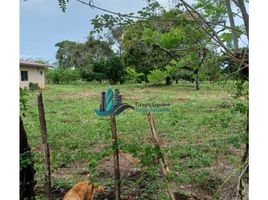  Terrain for sale in Dolega, Chiriqui, Tinajas, Dolega