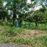  Land for sale in Chiriqui, Tinajas, Dolega, Chiriqui