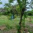  Land for sale in Dolega, Chiriqui, Tinajas, Dolega