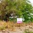  Land for sale in Comala, Colima, Comala
