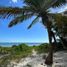 Terrain à vendre à Othon P Blanco, Quintana Roo, Othon P Blanco