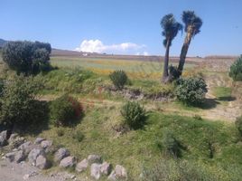  Grundstück zu verkaufen in Zinacatepec, Mexico, Zinacatepec