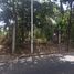  Land for sale in Atlixco, Puebla, Atlixco
