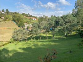 Terrain à vendre à El Carmen De Viboral, Antioquia, El Carmen De Viboral
