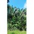  Land for sale in Puerto Salgar Cundinamarca, Puerto Salgar