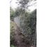  Land for sale in Tocaima Cundinamarca, Tocaima