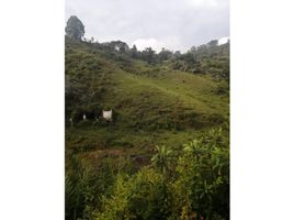 在Penol, Antioquia出售的 土地, Penol