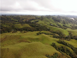 4 Habitación Villa en venta en Quindio, Salento, Quindio