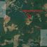  Land for sale in Hopelchen, Campeche, Hopelchen