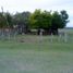  Land for sale in Aldama Tamaulipas, Aldama