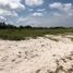  Land for sale in Champoton, Campeche, Champoton, Campeche
