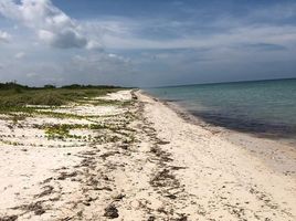  Land for sale in Champoton, Campeche, Champoton, Campeche