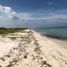  Land for sale in Champoton, Campeche, Champoton