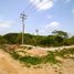  Grundstück zu verkaufen in Muxupip, Yucatan, Muxupip