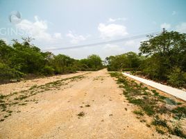  Grundstück zu verkaufen in Muxupip, Yucatan, Muxupip