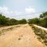  Land for sale in Muxupip, Yucatan, Muxupip