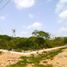  Grundstück zu verkaufen in Muxupip, Yucatan, Muxupip