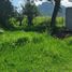  Land for sale in Contla De Juan Cuamatzi, Tlaxcala, Contla De Juan Cuamatzi