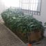 Maison 3 chambre à vendre à San Pedro Garza Garcia, Nuevo Leon, San Pedro Garza Garcia