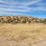  Land for sale in General Trias, Chihuahua, General Trias