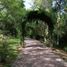  Land for sale in Chapantongo, Hidalgo, Chapantongo