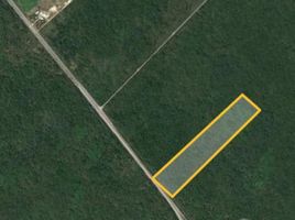  Terreno (Parcela) en venta en Motul, Yucatán, Motul