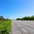  Land for sale in Motul, Yucatan, Motul