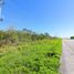 Land for sale in Motul, Yucatan, Motul