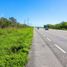  Land for sale in Motul, Yucatan, Motul