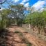  Terreno (Parcela) en venta en Yaxkukul, Yucatán, Yaxkukul