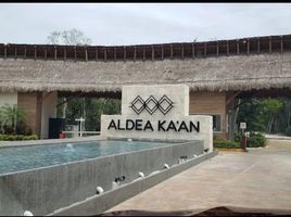  토지을(를) Isla Mujeres, Quintana Roo에서 판매합니다., Isla Mujeres