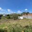  Terreno (Parcela) en venta en Coatepec, Veracruz, Coatepec