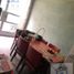 4 Schlafzimmer Villa zu verkaufen in Miguel Hidalgo, Mexico City, Miguel Hidalgo