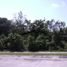  Land for sale in Cancun, Quintana Roo, Cancun