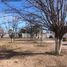  Land for sale in Saucillo, Chihuahua, Saucillo