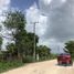  Land for sale in Tenabo, Campeche, Tenabo, Campeche
