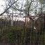  Land for sale in Valle Hermoso, Tamaulipas, Valle Hermoso