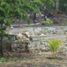  Terrain for sale in Othon P Blanco, Quintana Roo, Othon P Blanco