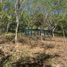  Terreno (Parcela) en venta en Oaxaca, Dist Pochutla, Oaxaca