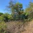  Terreno (Parcela) en venta en Oaxaca, Dist Pochutla, Oaxaca