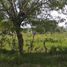 Terrain à vendre à Altamira, Tamaulipas, Altamira