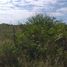 Terrain à vendre à Altamira, Tamaulipas, Altamira