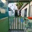 6 Schlafzimmer Villa zu verkaufen in Queretaro, Queretaro, Queretaro, Queretaro