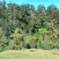  Terreno (Parcela) en venta en Yaonahuac, Puebla, Yaonahuac